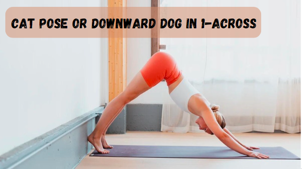 Cat Pose or Downward Dog in 1-Across