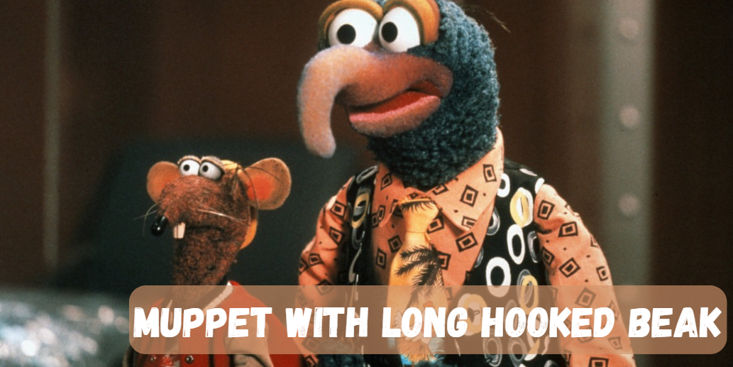 Muppet with Long Hooked Beak