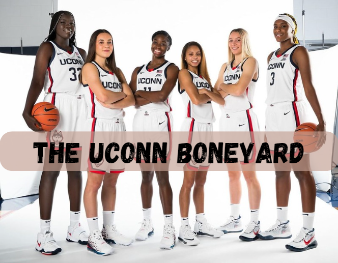 The UConn Boneyard